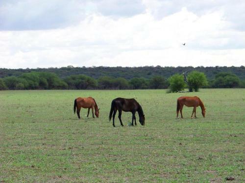 Estancia R�o Quinto