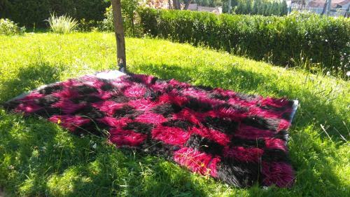 Bakina Ku?ica - Grandma's Cottage