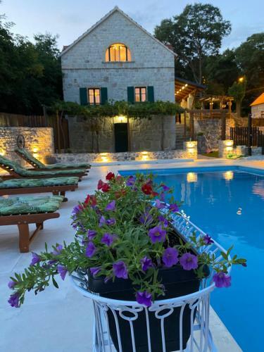Villa Juta