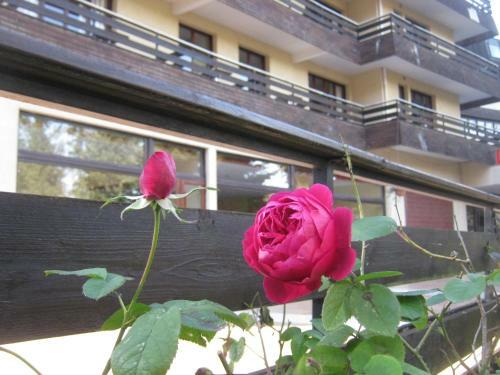 Hotel H�tel Le Laca