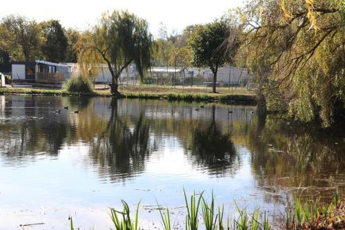 Camping Les Alouettes