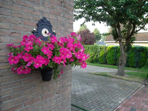 Bed & Breakfast Hof Van Lutten