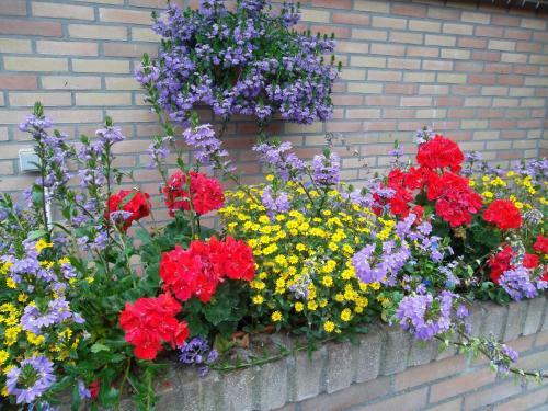 Bed & Breakfast Hof Van Lutten