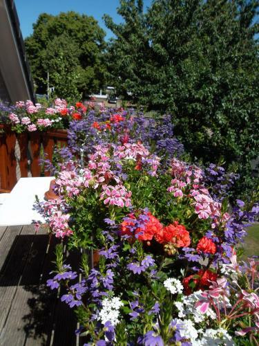 Bed & Breakfast Hof Van Lutten