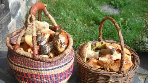 Bed & Breakfast Domaine De La Chave