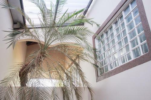Apartamento Yp� Flats