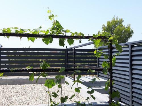 Apartmani Dalmacjia