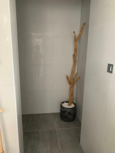 Apartamento Suite Luna