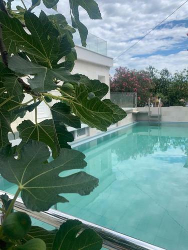 Apartamento Suite Luna
