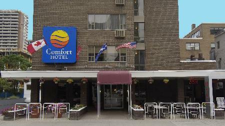 Comfort Hotel Downtown