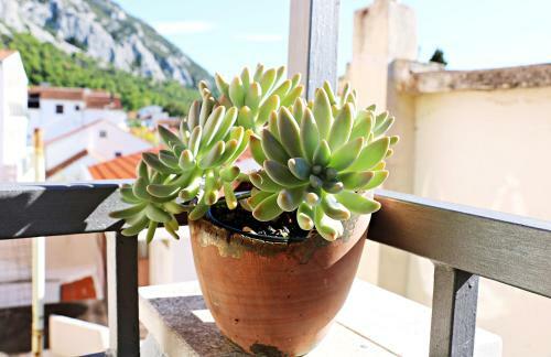Apartamento Roso