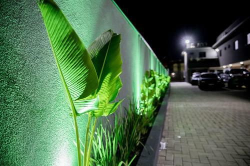 Hostal Cadiz , Pousada E Lazer A 200m Metros Da Praia