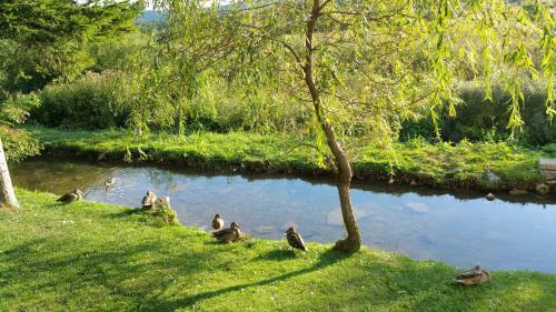 Hostal Rustic Inn River 3