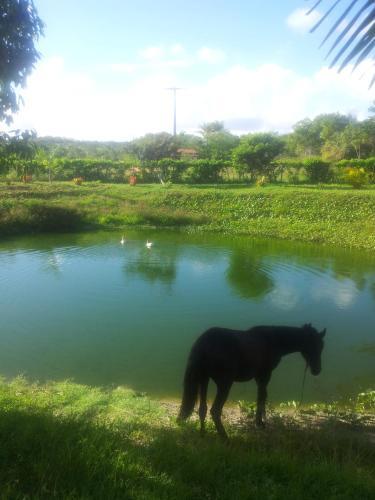 Espa�o Com Lagoa Privativa Para Hospedagens E Eventos