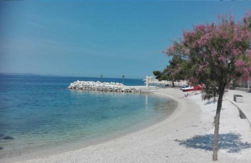 Apartments 20 Meters From The Beach