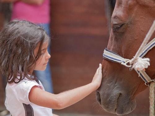 Agroturismo Tenuta La Silva