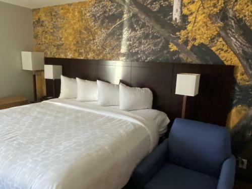Hotel Clarion Pointe