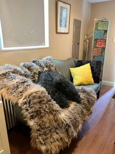 Charming 1-bedroom Apartment Close To Dc