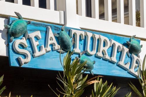Sea Turtle
