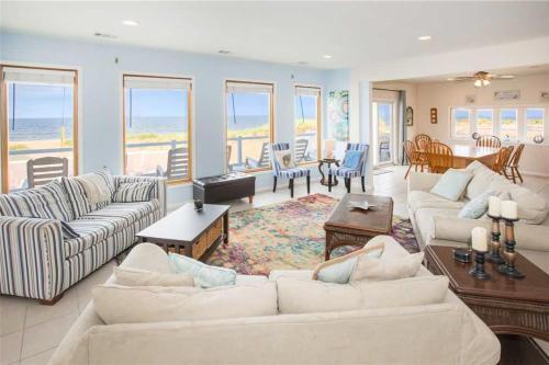 Blue Dolphin