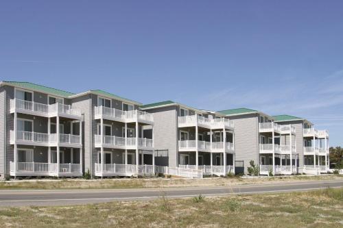 Seaside - Sand Dollar C-103