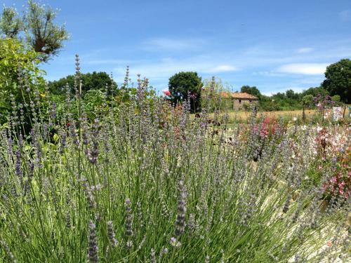 Agroturismo B&B La Pace