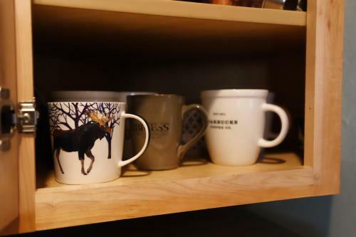 Cozy Downtown Dwelling