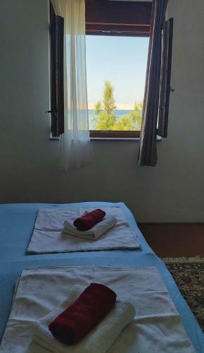 Apartmani Ana