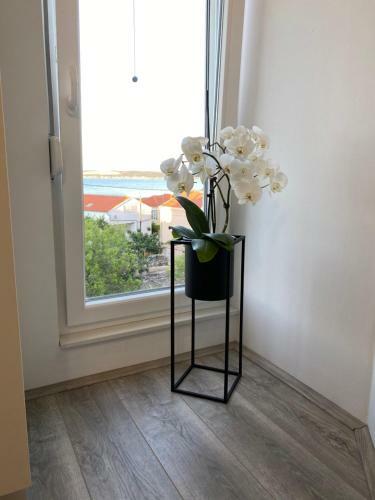 Apartmani Mia