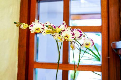 Posada Pousada Hortel�