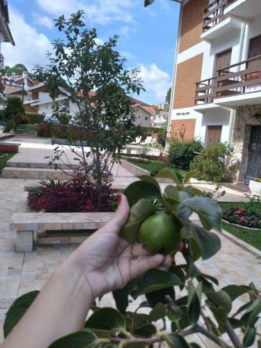 Apartamento Campos Do Jord�o Ao Lado Do Capivari