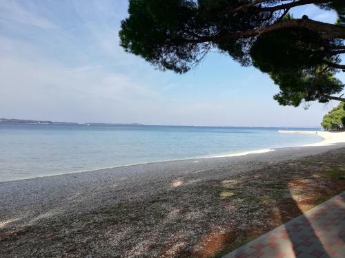 Apartman Valbandon