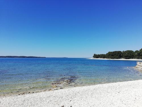 Apartman Valbandon