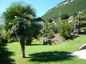 Garn� Hotel Ritterhof