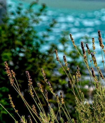 Hotel Olivemare