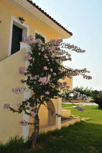 Apartamento Captain's Villas