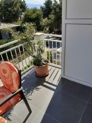 Hostal Apartmani Mileti?
