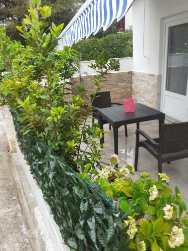 Hostal Apartmani Mileti?
