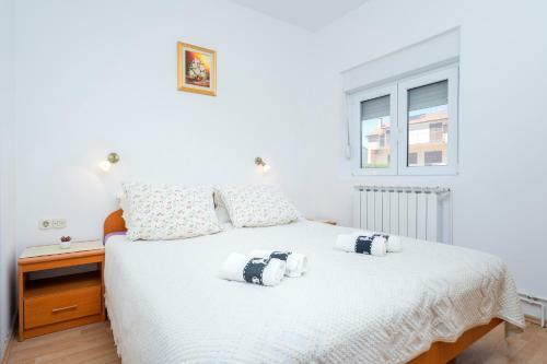 Apartments Draganic