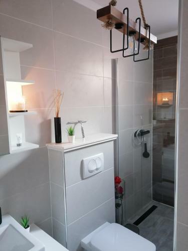 Apolon Apartment