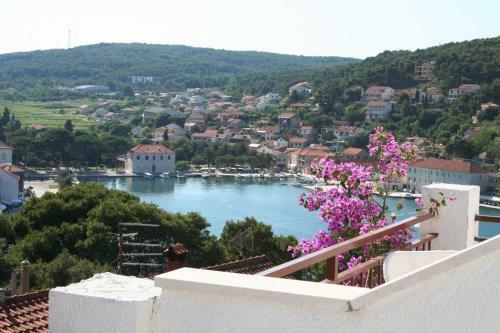 Hostal Apartmani Mladina