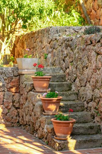 Villa Gallus - Jelsa, Hvar