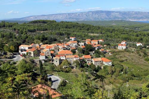 Holiday House With A Parking Space Pitve, Hvar - 17397
