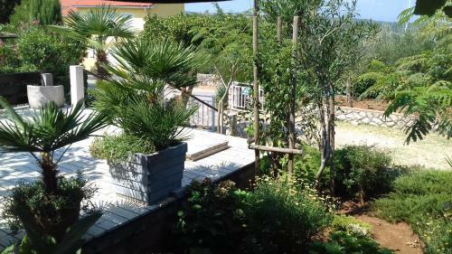 Apartamentos Klimno100