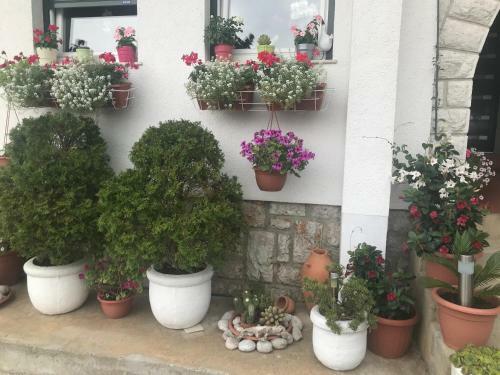 Hostal Porat