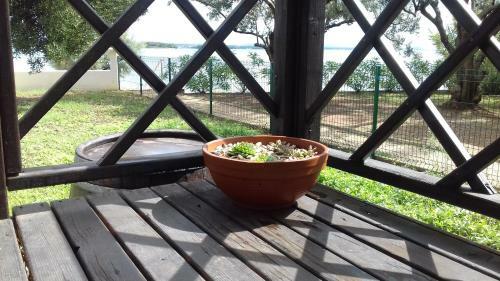 Petra's Garden