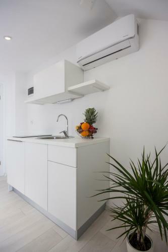 Apartments Dalmata