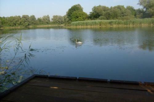 Riverside House Bojko