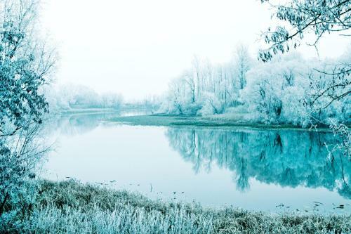 Riverside House Bojko
