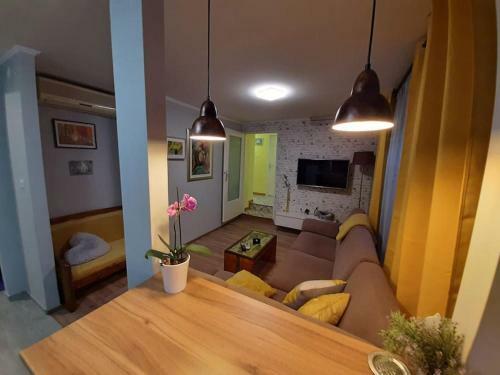 Comfy Apartment